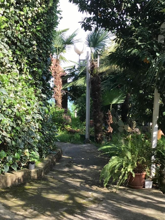 Feride Makhinjauri Exterior foto